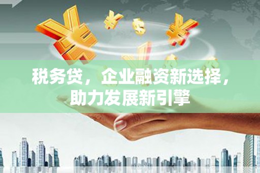 贺兰税务贷，企业融资新选择，助力发展新引擎