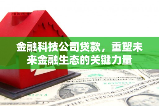 贺兰金融科技公司贷款，重塑未来金融生态的关键力量