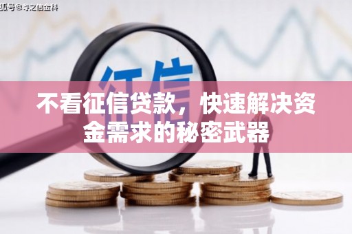 贺兰不看征信贷款，快速解决资金需求的秘密武器