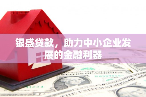贺兰银盛贷款，助力中小企业发展的金融利器