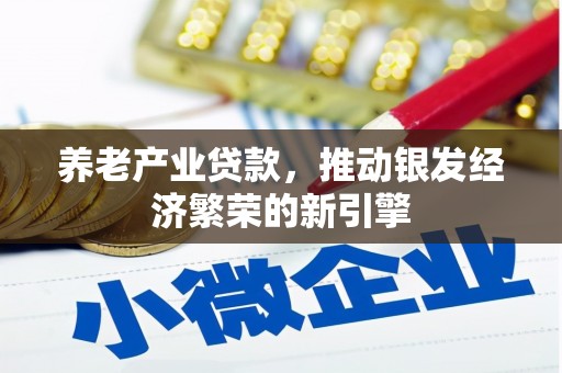 贺兰养老产业贷款，推动银发经济繁荣的新引擎