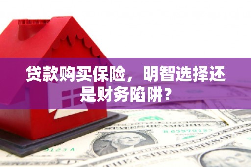 贺兰贷款购买保险，明智选择还是财务陷阱？