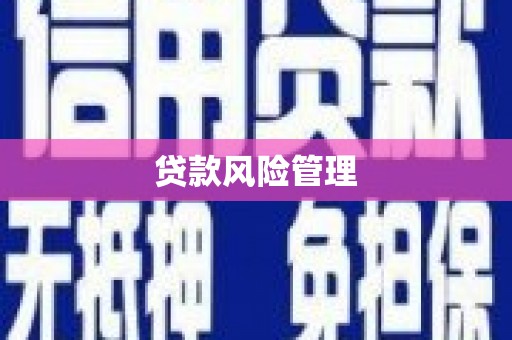 贺兰贷款风险管理