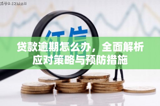 贺兰贷款逾期怎么办，全面解析应对策略与预防措施