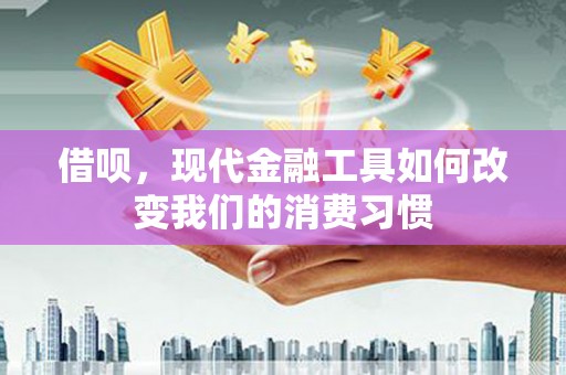 贺兰借呗，现代金融工具如何改变我们的消费习惯