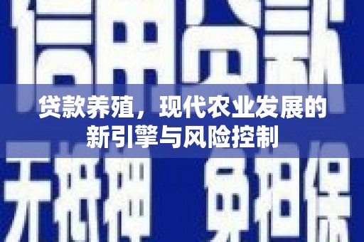 贺兰贷款养殖，现代农业发展的新引擎与风险控制