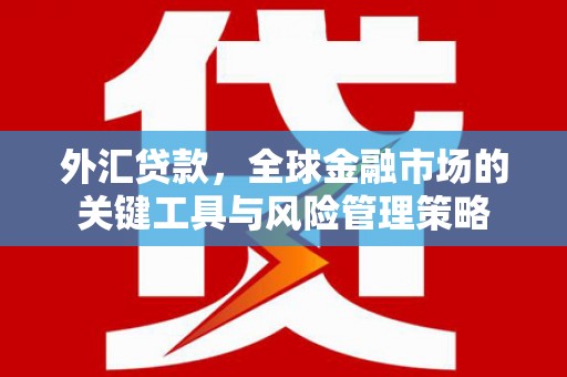 贺兰外汇贷款，全球金融市场的关键工具与风险管理策略