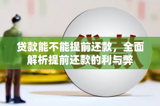 贺兰贷款能不能提前还款，全面解析提前还款的利与弊