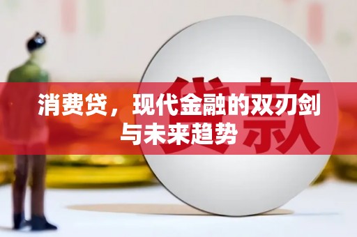 贺兰消费贷，现代金融的双刃剑与未来趋势