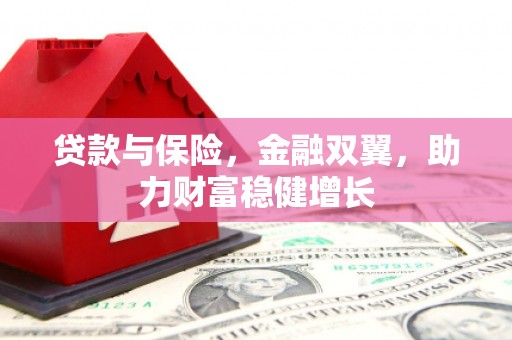 贺兰贷款与保险，金融双翼，助力财富稳健增长