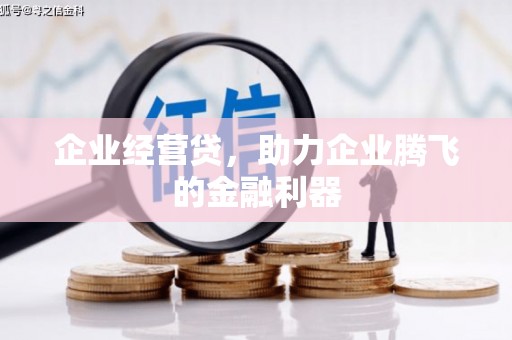 贺兰企业经营贷，助力企业腾飞的金融利器