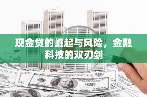 贺兰现金贷的崛起与风险，金融科技的双刃剑