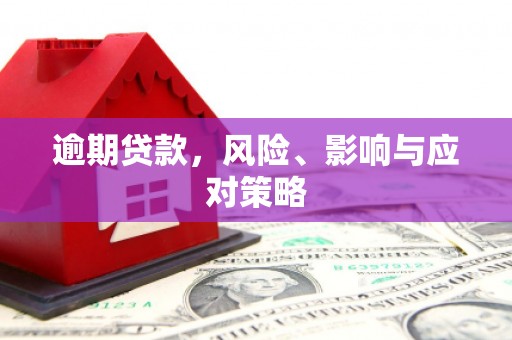 贺兰逾期贷款，风险、影响与应对策略