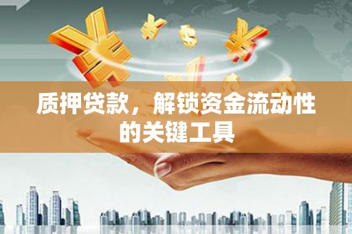 贺兰质押贷款，解锁资金流动性的关键工具