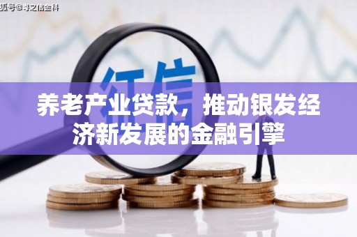 贺兰养老产业贷款，推动银发经济新发展的金融引擎