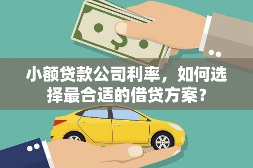 贺兰小额贷款公司利率，如何选择最合适的借贷方案？