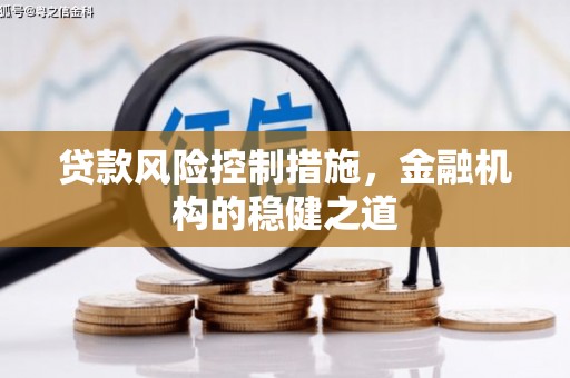 贺兰贷款风险控制措施，金融机构的稳健之道