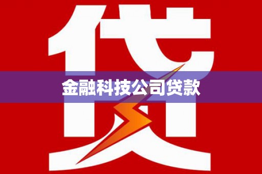 贺兰金融科技公司贷款