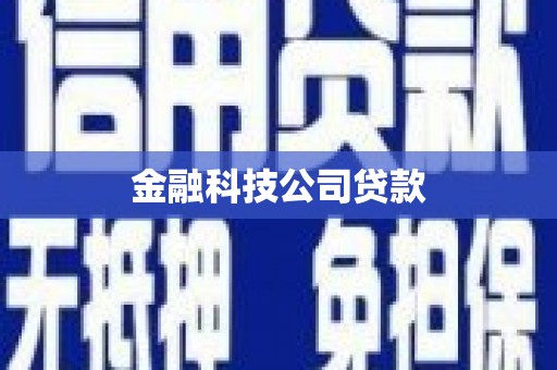 贺兰金融科技公司贷款