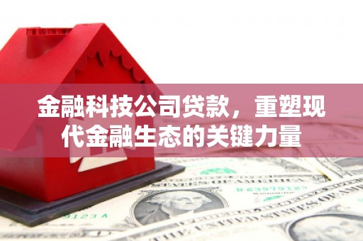 贺兰金融科技公司贷款，重塑现代金融生态的关键力量