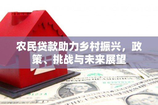 贺兰农民贷款助力乡村振兴，政策、挑战与未来展望