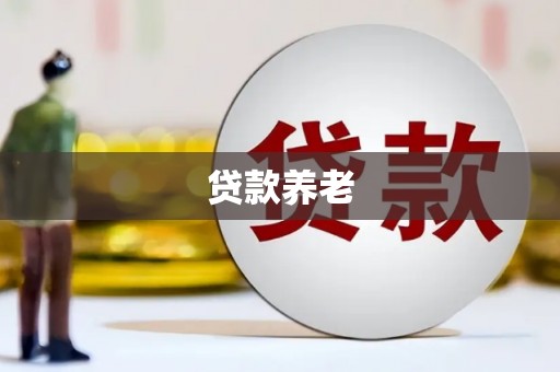 贺兰贷款养老