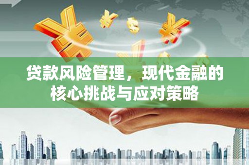 贺兰贷款风险管理，现代金融的核心挑战与应对策略