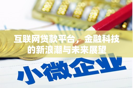 贺兰互联网贷款平台，金融科技的新浪潮与未来展望