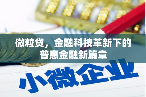 贺兰微粒贷，金融科技革新下的普惠金融新篇章