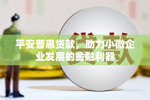 贺兰平安普惠贷款，助力小微企业发展的金融利器