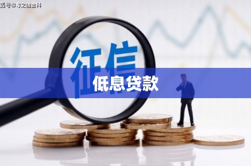 贺兰低息贷款