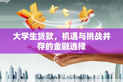 贺兰大学生贷款，机遇与挑战并存的金融选择