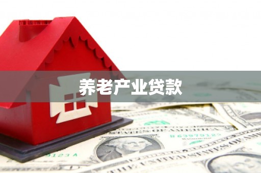 贺兰养老产业贷款