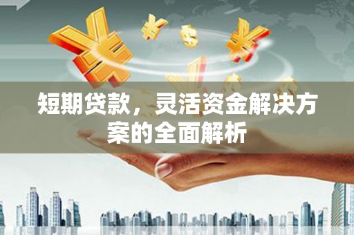 贺兰短期贷款，灵活资金解决方案的全面解析