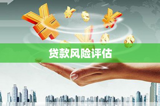 贺兰贷款风险评估