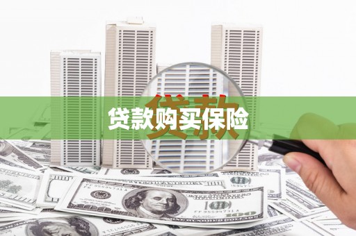 贺兰贷款购买保险