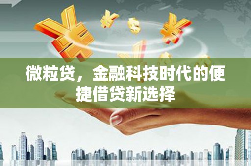 贺兰微粒贷，金融科技时代的便捷借贷新选择