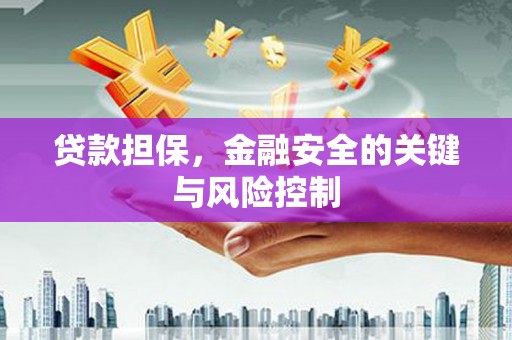 贺兰贷款担保，金融安全的关键与风险控制