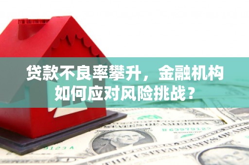 贺兰贷款不良率攀升，金融机构如何应对风险挑战？