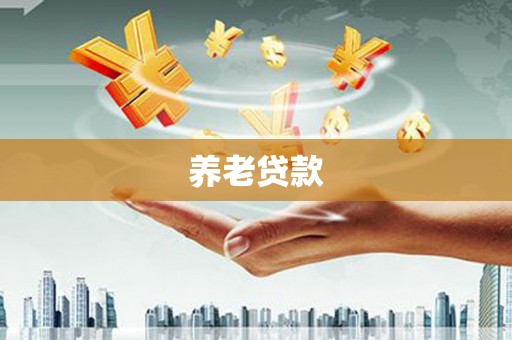 贺兰养老贷款