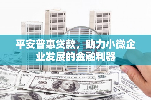 贺兰平安普惠贷款，助力小微企业发展的金融利器