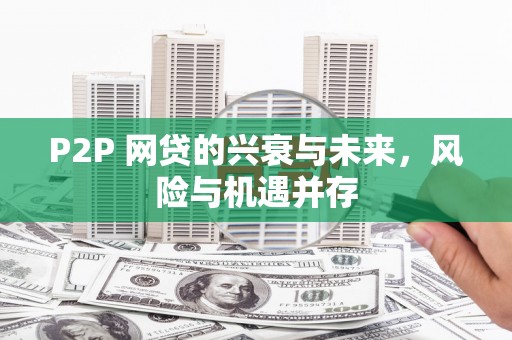 贺兰P2P 网贷的兴衰与未来，风险与机遇并存