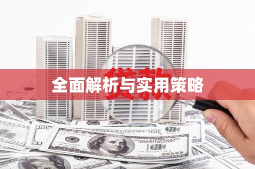 贺兰全面解析与实用策略