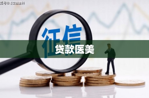 贺兰贷款医美