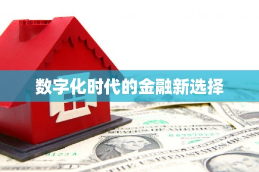 贺兰数字化时代的金融新选择