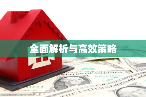 贺兰全面解析与高效策略