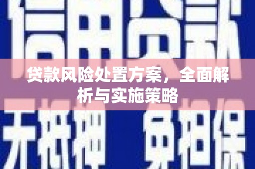 贺兰贷款风险处置方案，全面解析与实施策略