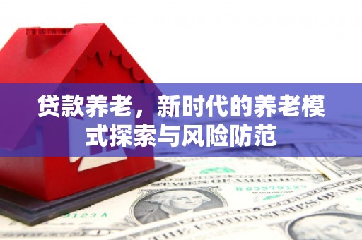贺兰贷款养老，新时代的养老模式探索与风险防范