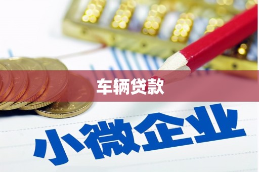 贺兰车辆贷款